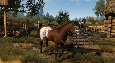 which horse to choose witcher 3|witcher 3 cantarella nemrod choice.